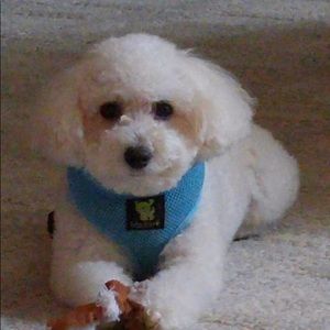 Meet your Posher, Sandra